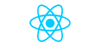 ReactJS Web Development Services in US