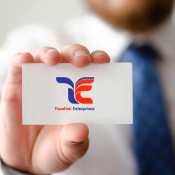 Toushini Enterprise Logo
